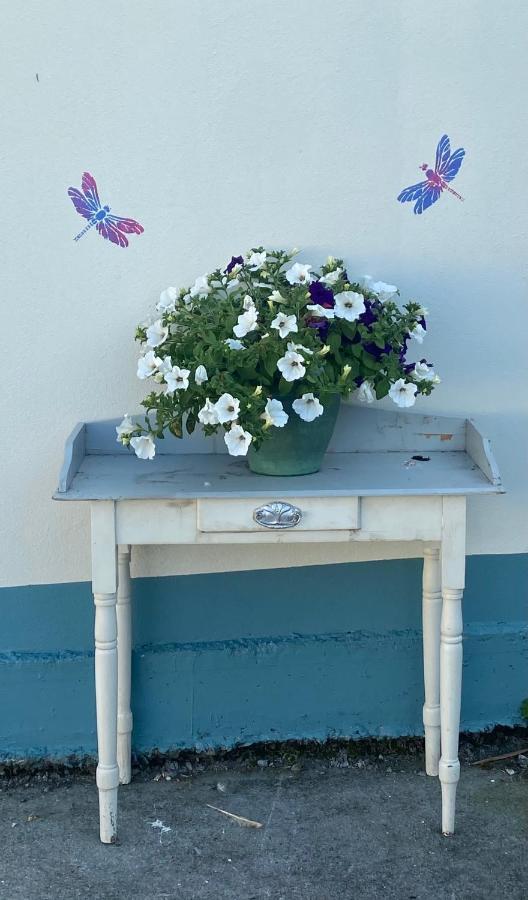 Farm Stay Property Pets And Families Welcome Rossnowlagh Exteriér fotografie