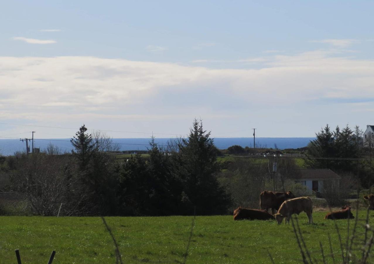 Farm Stay Property Pets And Families Welcome Rossnowlagh Exteriér fotografie
