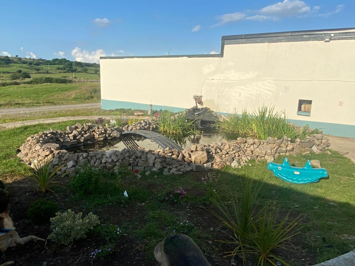Farm Stay Property Pets And Families Welcome Rossnowlagh Exteriér fotografie