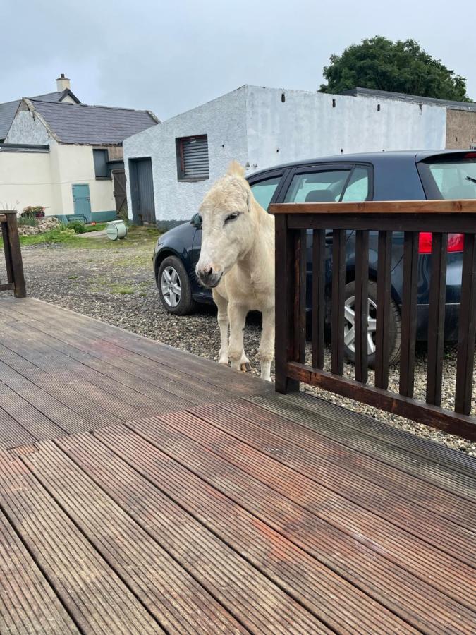 Farm Stay Property Pets And Families Welcome Rossnowlagh Exteriér fotografie
