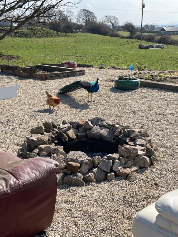Farm Stay Property Pets And Families Welcome Rossnowlagh Exteriér fotografie